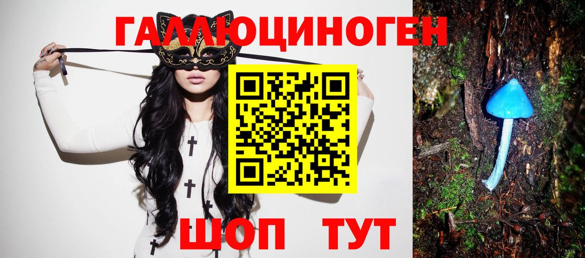 Псилоцибиновые грибы Cubensis  Псилоцибиновые грибы GOLDEN TEACHER  Зерноград  Вход с VPN 