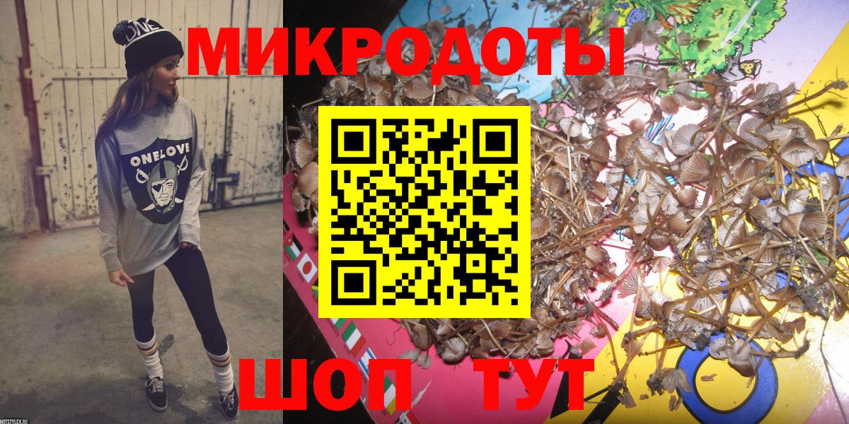 Галлюциногенные грибы Psilocybe Зерноград
